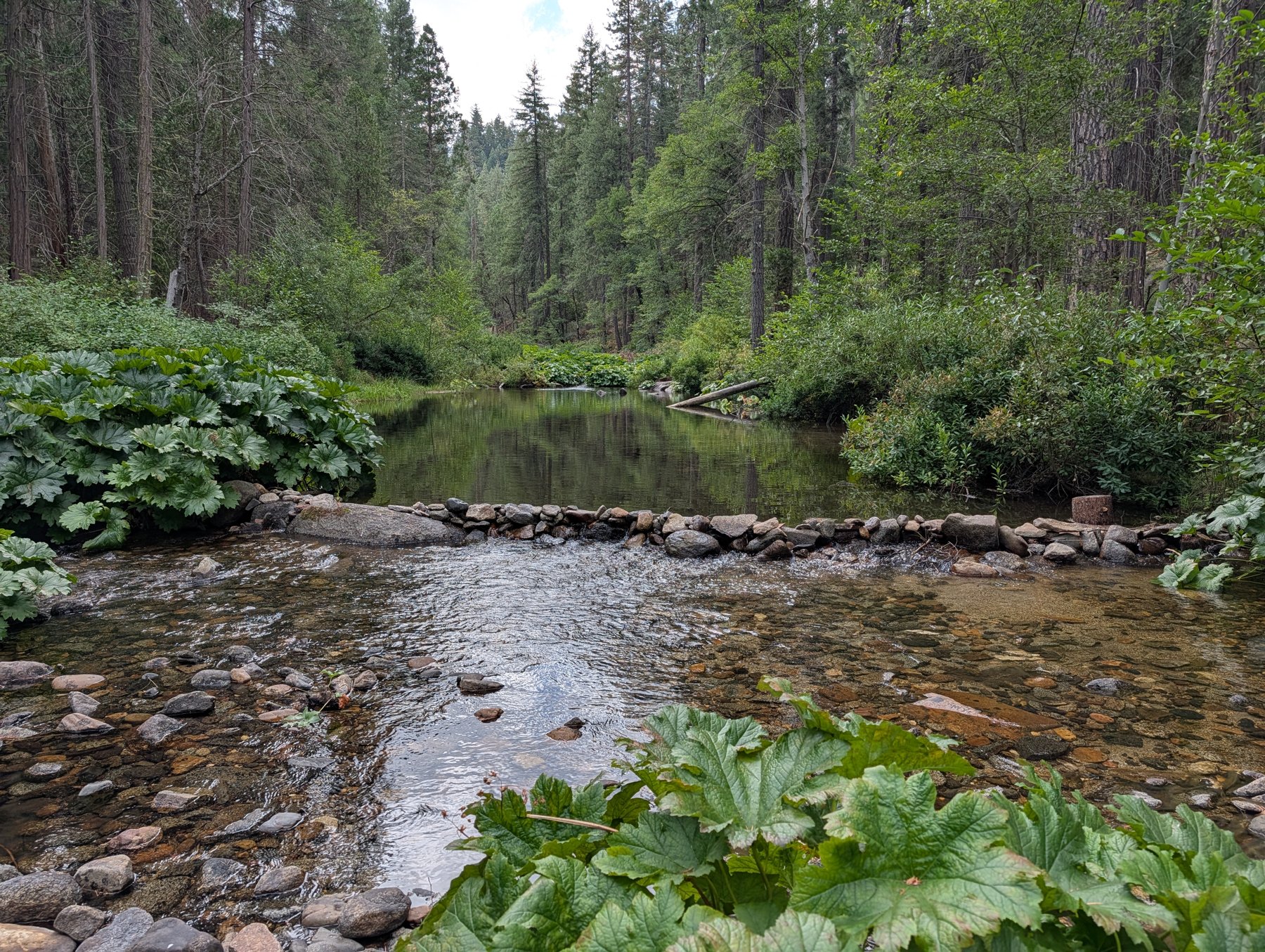 River pool on a sold Northern General claim